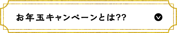 お年玉キャンペーンとは？？のページに飛ぶ